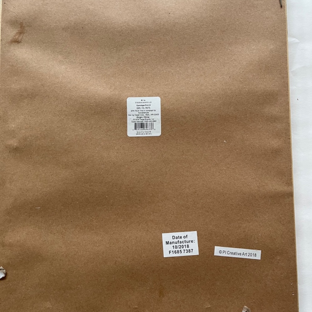 Framed Shell Print - Picture 5 of 6